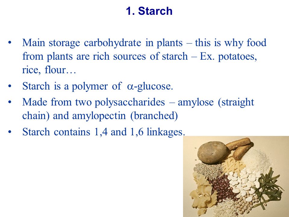 Is starch a carbohydrate?
