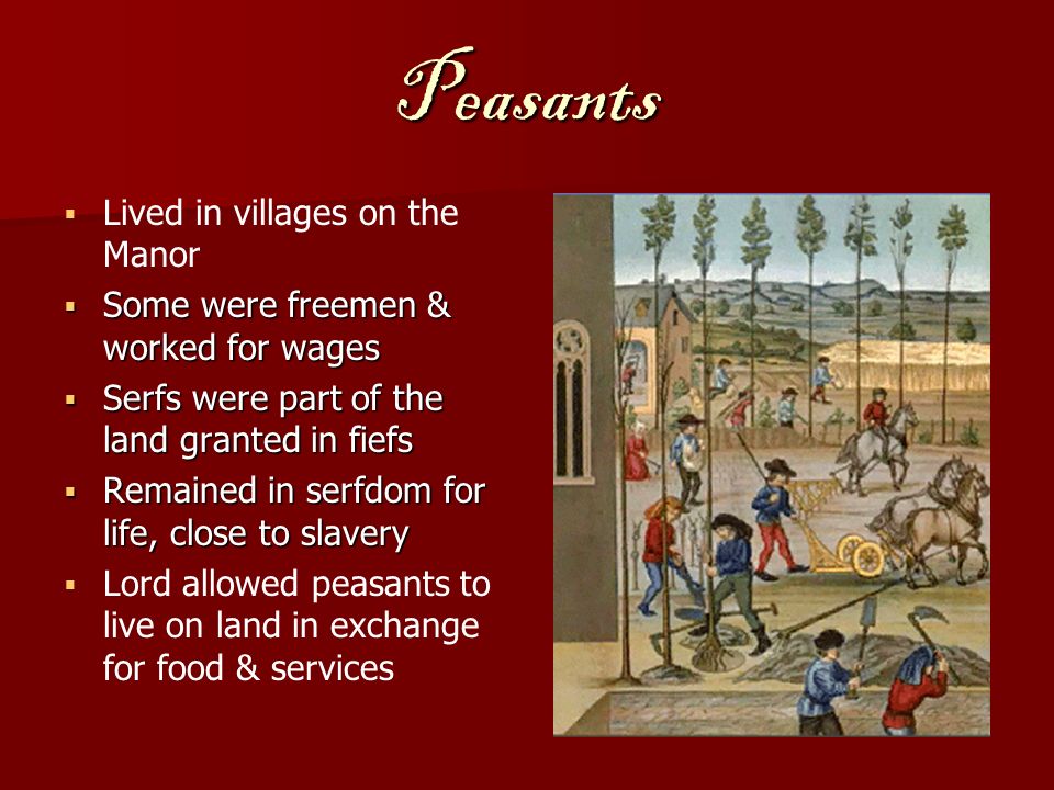 Peasants   Lived in villages on the Manor  Some were freemen & worked for wages  Serfs were part of the land granted in fiefs  Remained in serfdom for life, close to slavery   Lord allowed peasants to live on land in exchange for food & services