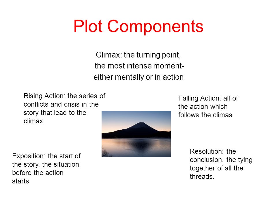 Plot Components Climax: the turning point, the most intense moment- either mentally or in action Rising Action: the series of conflicts and crisis in the story that lead to the climax Falling Action: all of the action which follows the climas Exposition: the start of the story, the situation before the action starts Resolution: the conclusion, the tying together of all the threads.