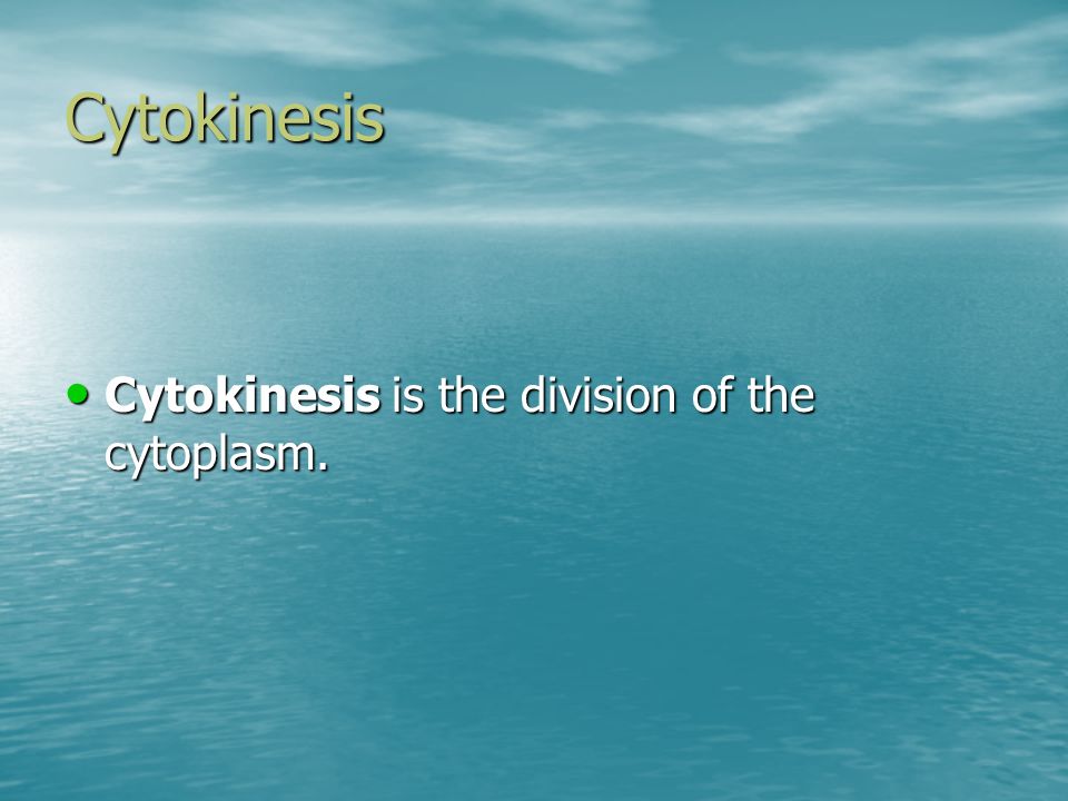 Cytokinesis Cytokinesis is the division of the cytoplasm.