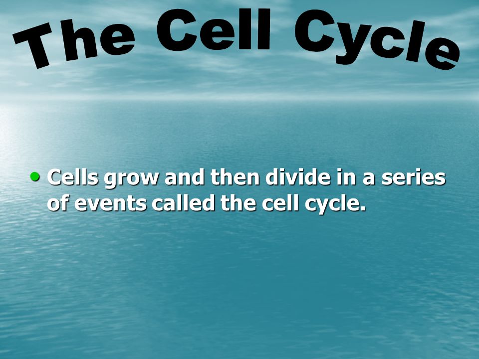 Cells grow and then divide in a series of events called the cell cycle.