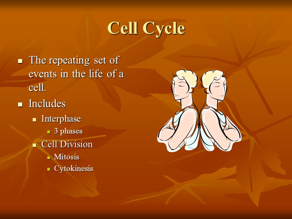 Cell Cycle The repeating set of events in the life of a cell.