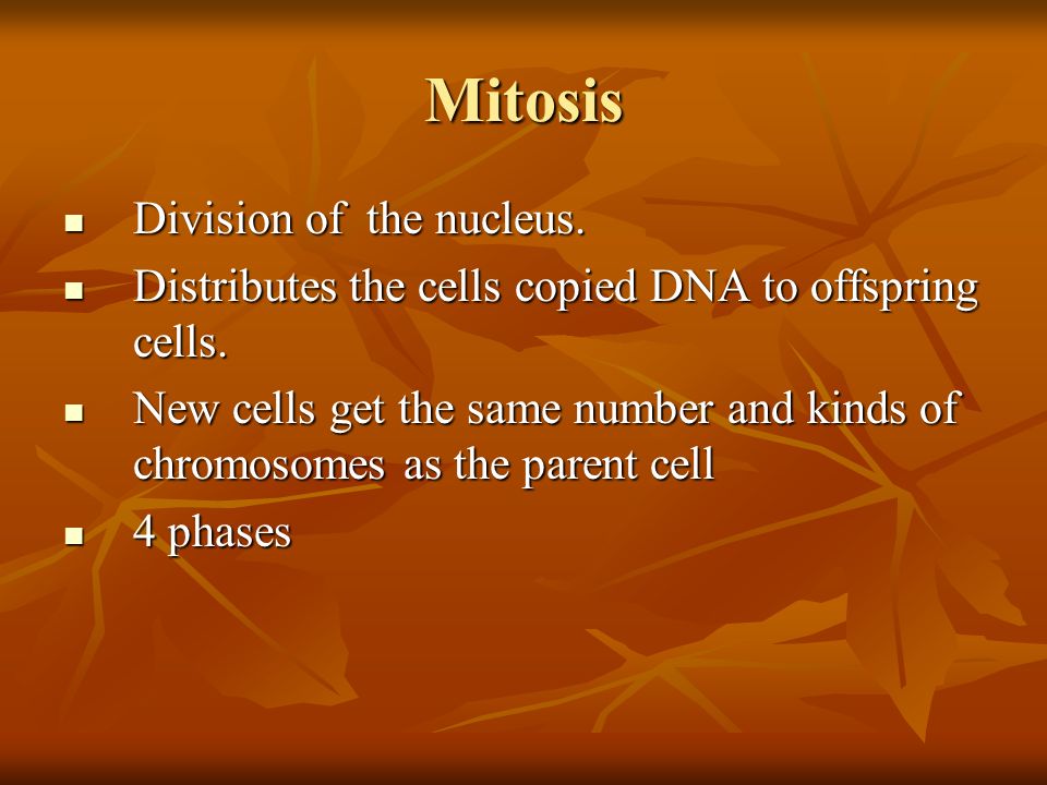 Mitosis Division of the nucleus. Division of the nucleus.