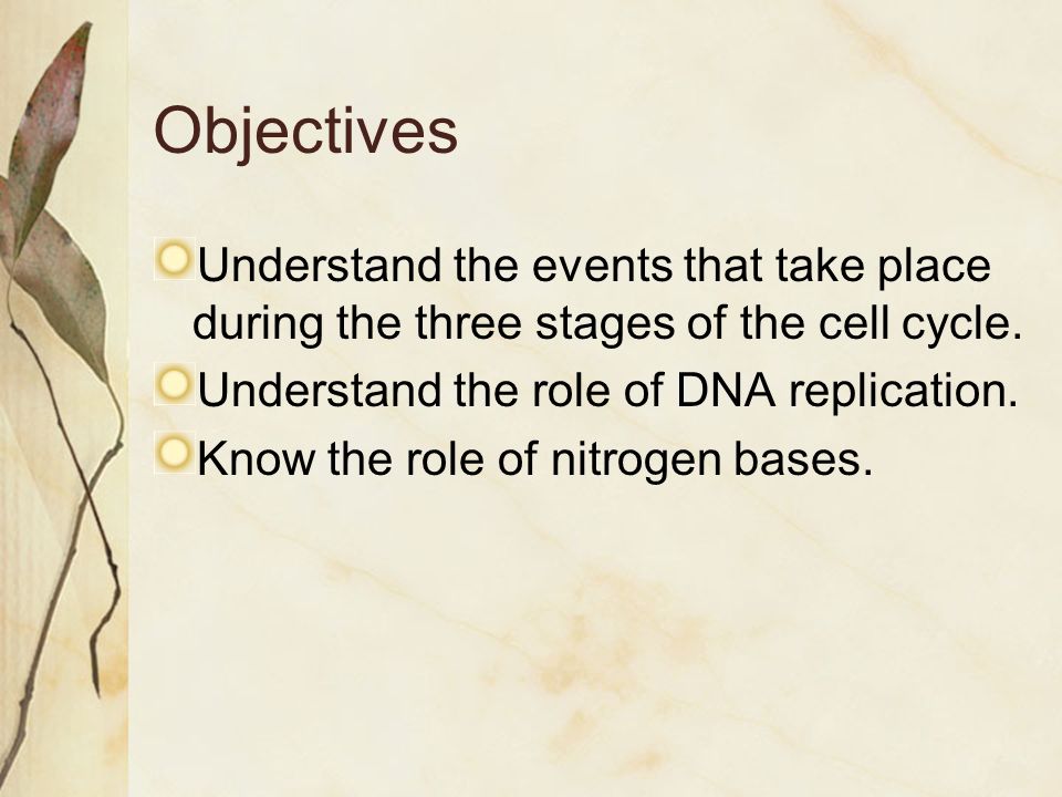 Worksheets Section 10-2 Cell Division Worksheet Answers section 10 2 cell division worksheet answers pages the process of answers
