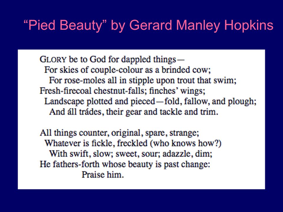Definition Essay Beauty