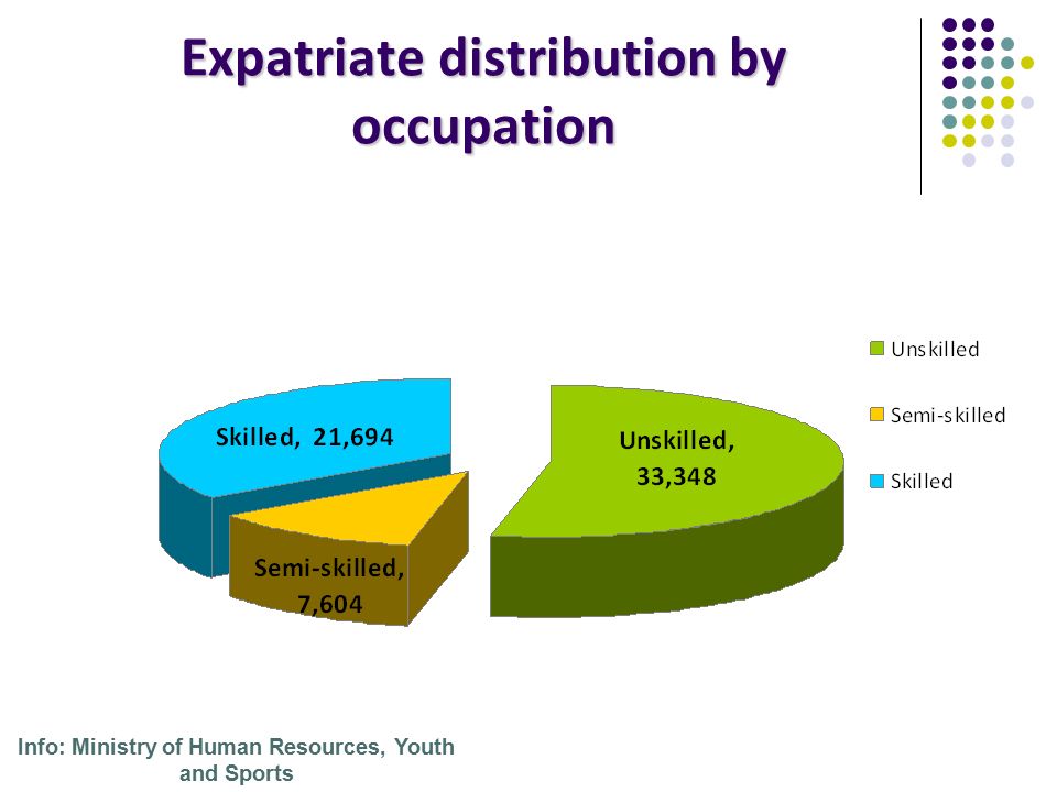 Expatriate distribution by occupation Info: Ministry of Human Resources, Youth and Sports