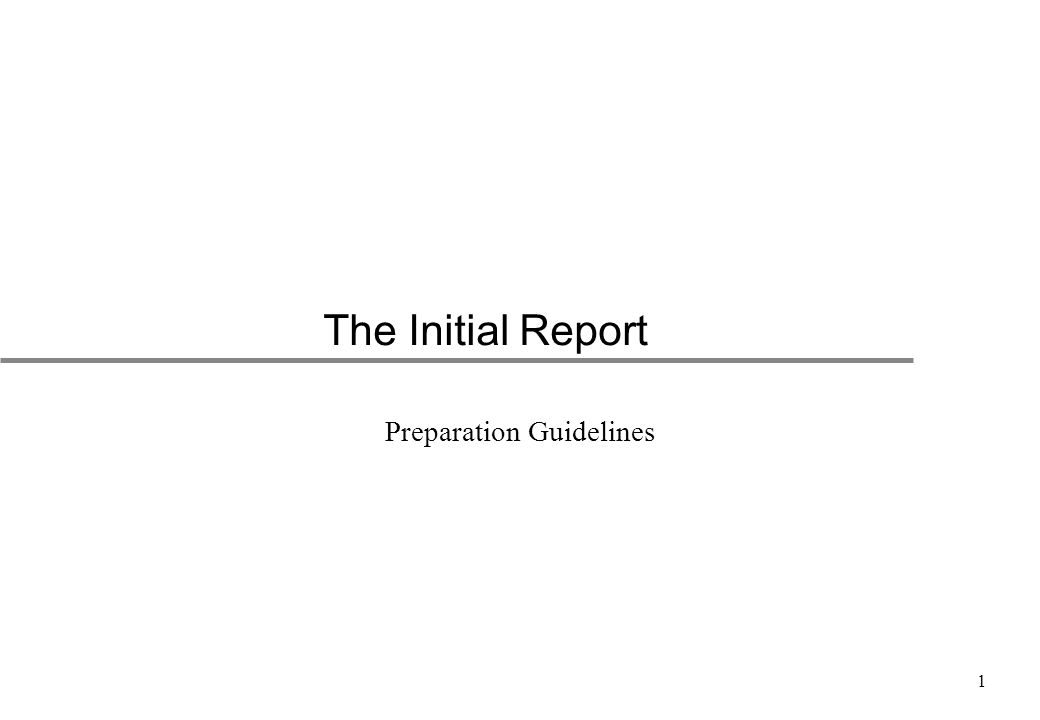 1 The Initial Report Preparation Guidelines