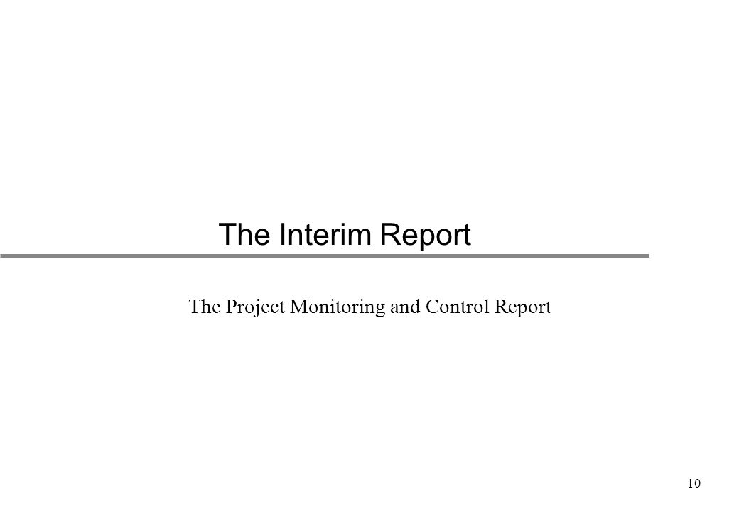 10 The Interim Report The Project Monitoring and Control Report