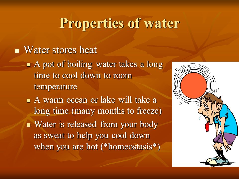 Properties of water Water stores heat Water stores heat A pot of boiling water takes a long time to cool down to room temperature A pot of boiling water takes a long time to cool down to room temperature A warm ocean or lake will take a long time (many months to freeze) A warm ocean or lake will take a long time (many months to freeze) Water is released from your body as sweat to help you cool down when you are hot (*homeostasis*) Water is released from your body as sweat to help you cool down when you are hot (*homeostasis*)