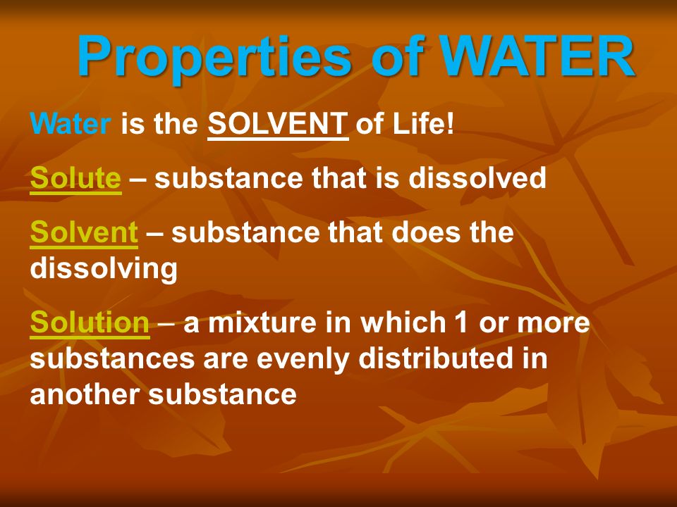 Properties of WATER Water is the SOLVENT of Life.