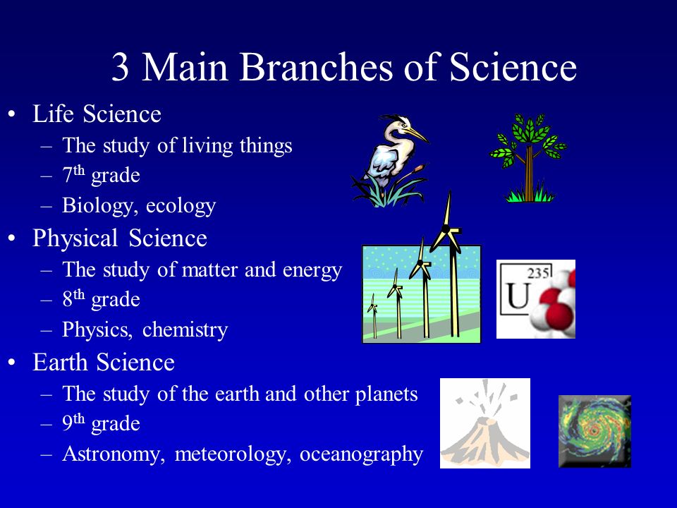 Worksheet Branches Of Science branches and jobs in science good discussion ppt 3 main of