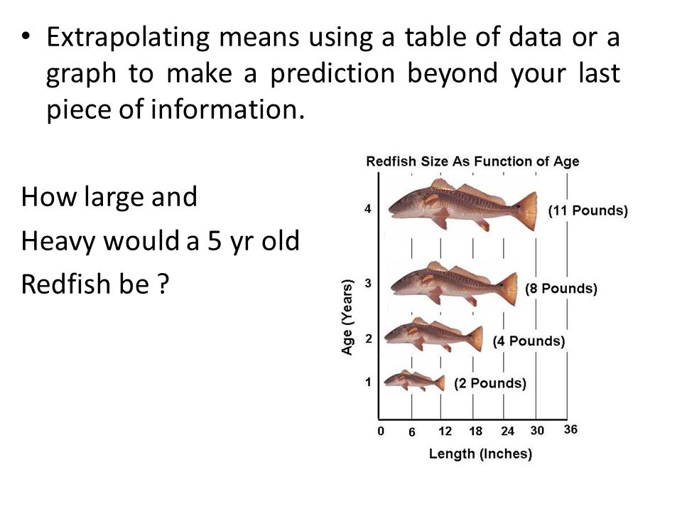 Extrapolating means using a table of data or a graph to make a prediction beyond your last piece of information.