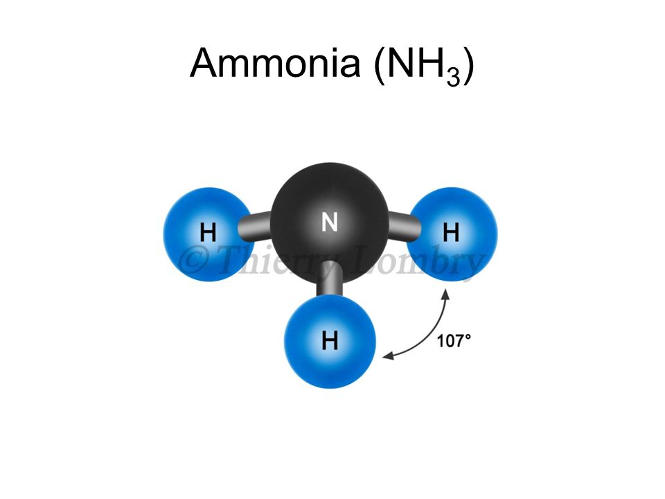 Ammonia (NH 3 )