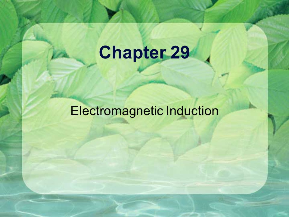 plant anatomy essay plant anatomy essay