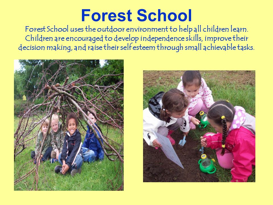 Forest School Forest School uses the outdoor environment to help all children learn.