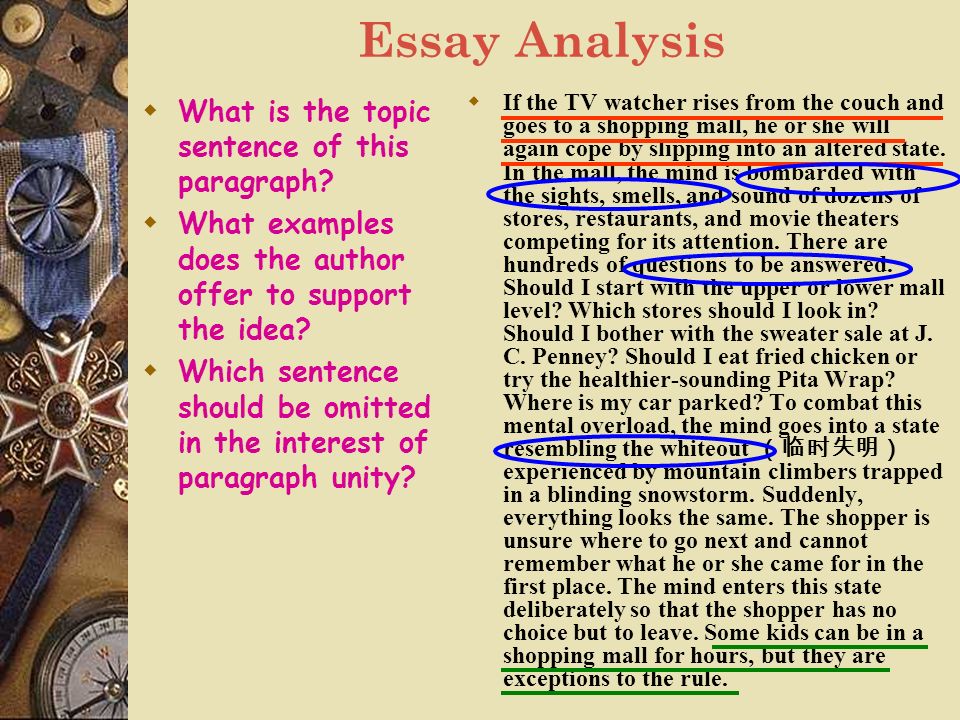 essay on misuse of internet essay on misuse of internet