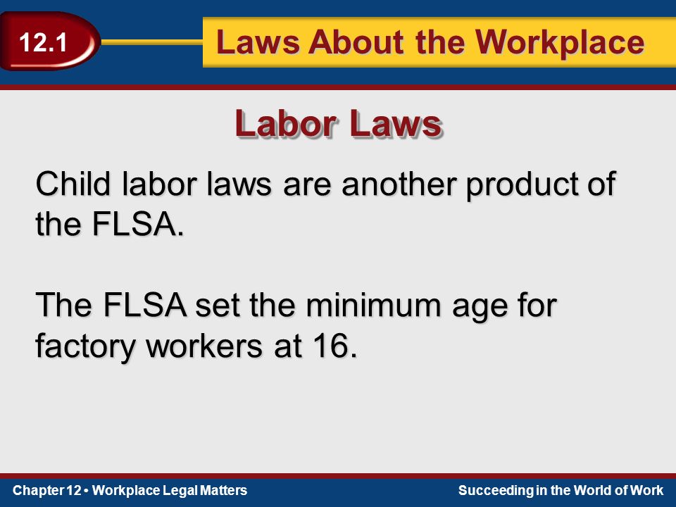 Chapter 12 Workplace Legal MattersSucceeding in the World of Work Laws About the Workplace 12.1 Child labor laws are another product of the FLSA.