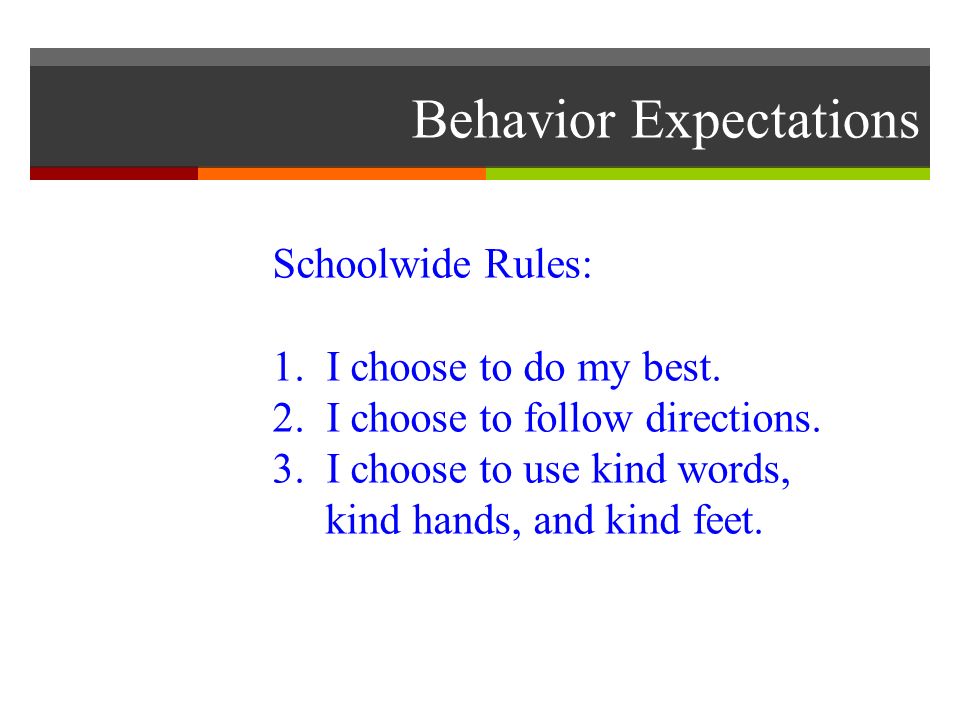 Behavior Expectations Schoolwide Rules: 1. I choose to do my best.