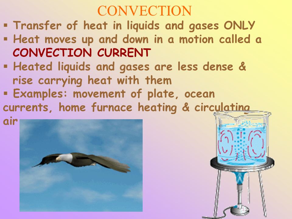 CONVECTION  Transfer of heat in liquids and gases ONLY  Heat moves up and down in a motion called a CONVECTION CURRENT  Heated liquids and gases are less dense & rise carrying heat with them  Examples: movement of plate, ocean currents, home furnace heating & circulating air
