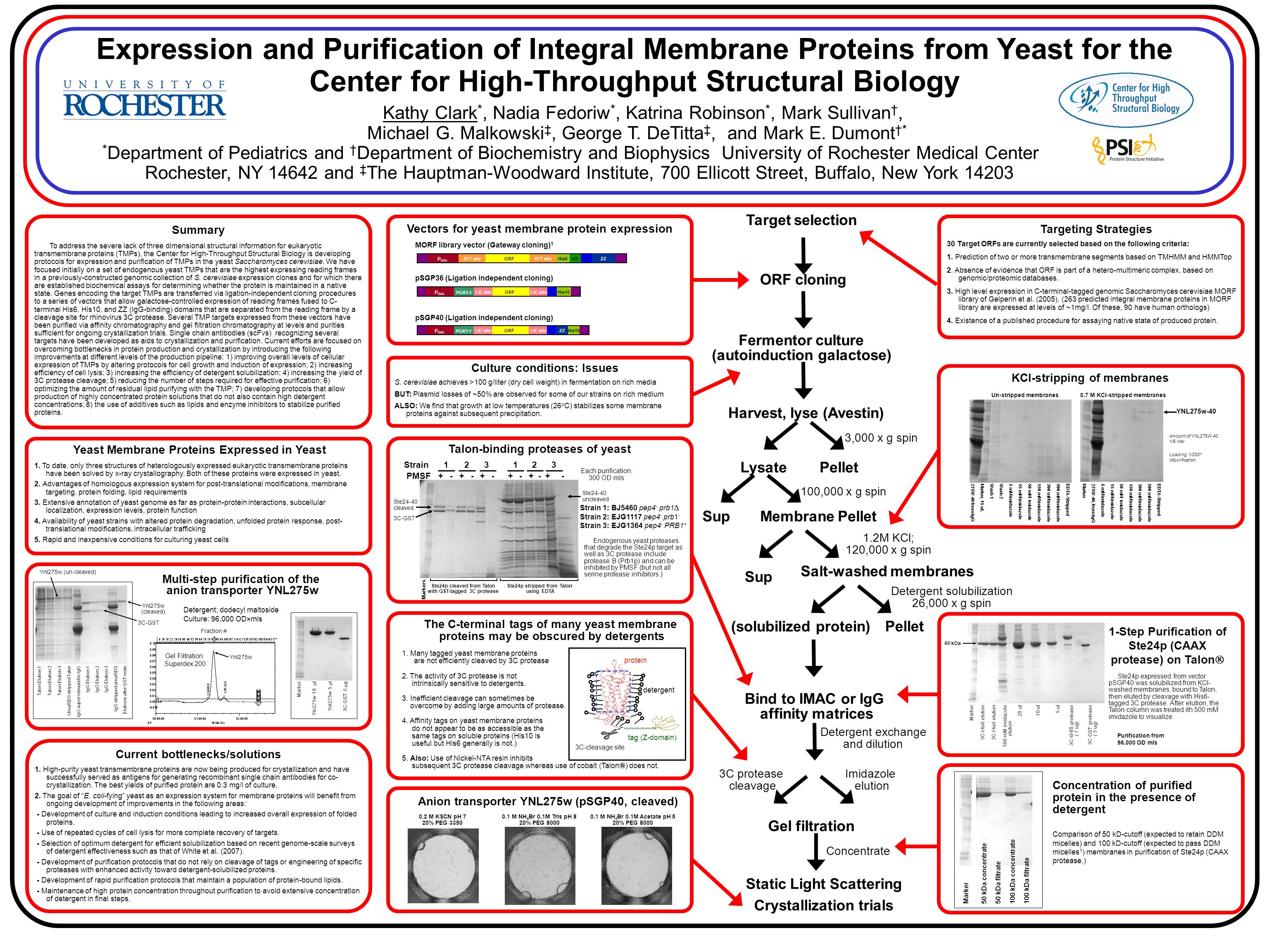 Expression And Purification Of Integral Membrane Proteins From Yeast