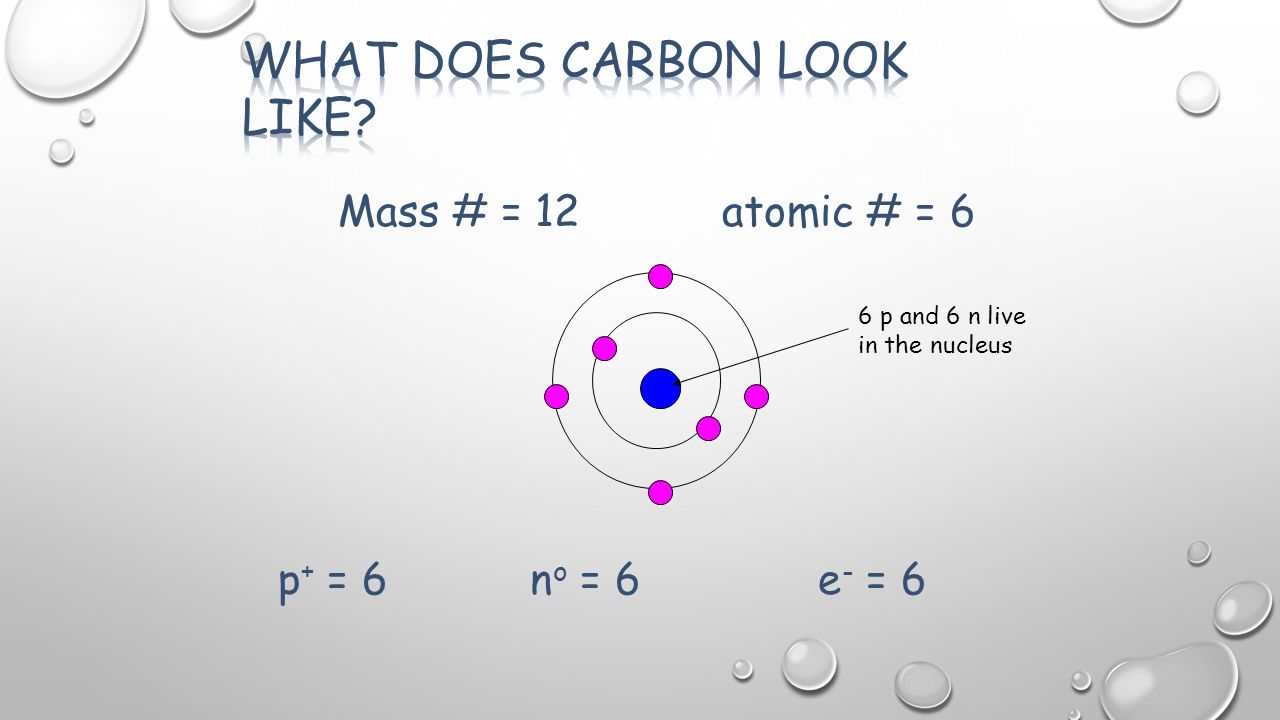 Mass # = 12 atomic # = 6 p + = 6 n o = 6e - = 6 6 p and 6 n live in the nucleus