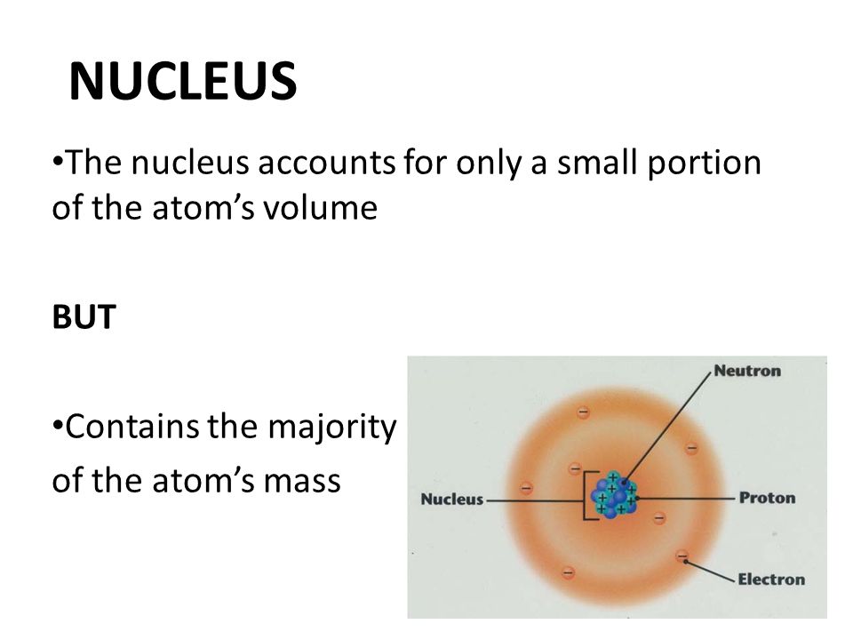 NUCLEUS The nucleus accounts for only a small portion of the atom’s volume BUT Contains the majority of the atom’s mass
