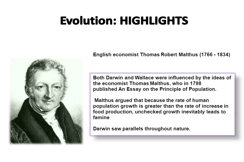 Thomas Malthus Essay On The Principle Of Population