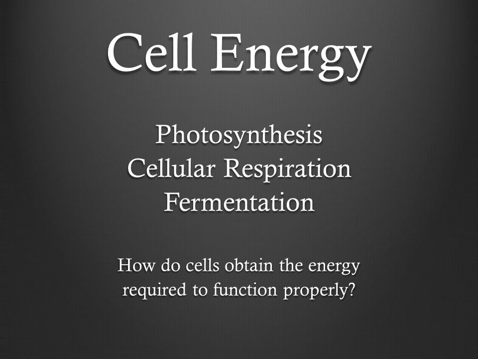 Cell Energy Photosynthesis Cellular Respiration Fermentation How do cells obtain the energy required to function properly