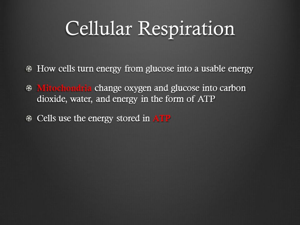 Cellular Respiration How cells turn energy from glucose into a usable energy Mitochondria change oxygen and glucose into carbon dioxide, water, and energy in the form of ATP Cells use the energy stored in ATP