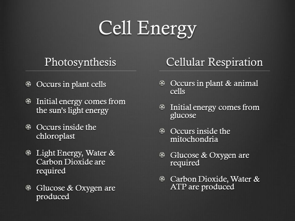 Cell Energy Photosynthesis Occurs in plant cells Initial energy comes from the sun’s light energy Occurs inside the chloroplast Light Energy, Water & Carbon Dioxide are required Glucose & Oxygen are produced Cellular Respiration Occurs in plant & animal cells Initial energy comes from glucose Occurs inside the mitochondria Glucose & Oxygen are required Carbon Dioxide, Water & ATP are produced