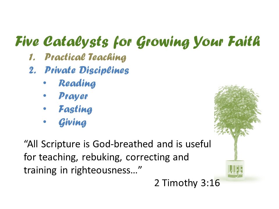 Five Catalysts for Growing Your Faith 1.Practical Teaching 2.Private Disciplines Reading Prayer Fasting Giving All Scripture is God-breathed and is useful for teaching, rebuking, correcting and training in righteousness… 2 Timothy 3:16