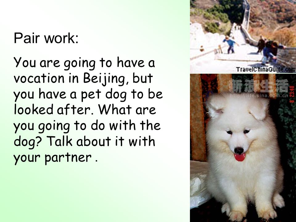 Pair work: You are going to have a vocation in Beijing, but you have a pet dog to be looked after.