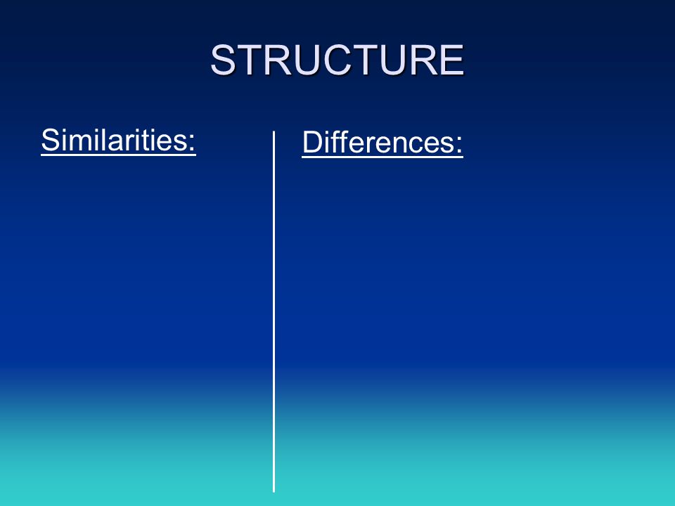 STRUCTURE Similarities: Differences: