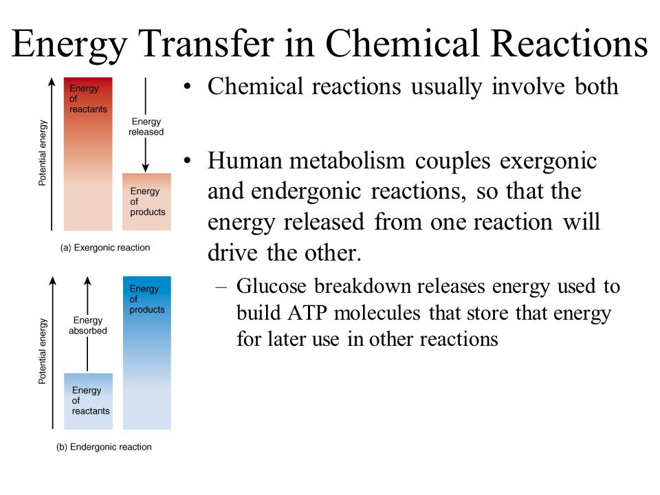 Energy Transfer Equation Chemistry Jennarocca The Chemical Level Of Organization Ppt Download Energy Transfer