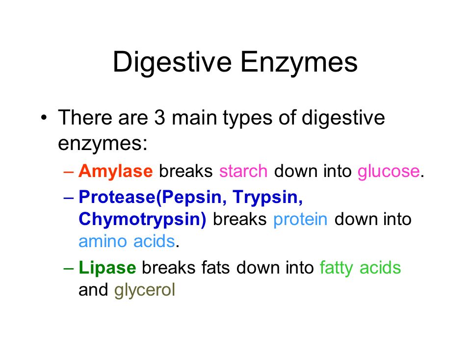 Glucose and digestive enzymes