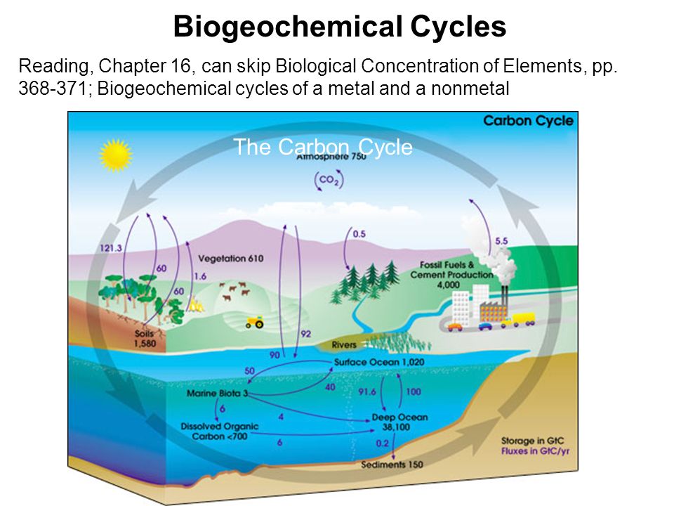 which biogeochemical cycles may be altered by anthropogenic activities on madagascar and how Freshwater ecosystems under anthropogenic impacts webs and biogeochemical cycles of estuaries and coastal biological activities enhanced by anthropogenic. which biogeochemical cycles may be altered by anthropogenic activities on madagascar and how Freshwater ecosystems under anthropogenic impacts webs and biogeochemical cycles of estuaries and coastal biological activities enhanced by anthropogenic.