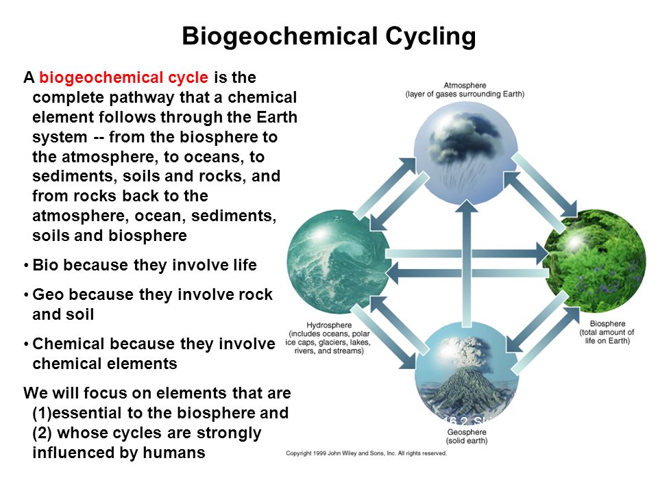 biogeochemical cycle definition
