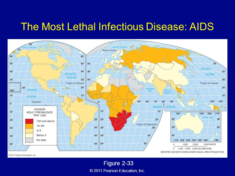 © 2011 Pearson Education, Inc. The Most Lethal Infectious Disease: AIDS Figure 2-33