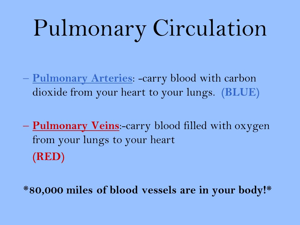 Pulmonary Circulation – Pulmonary Arteries : -carry blood with carbon dioxide from your heart to your lungs.