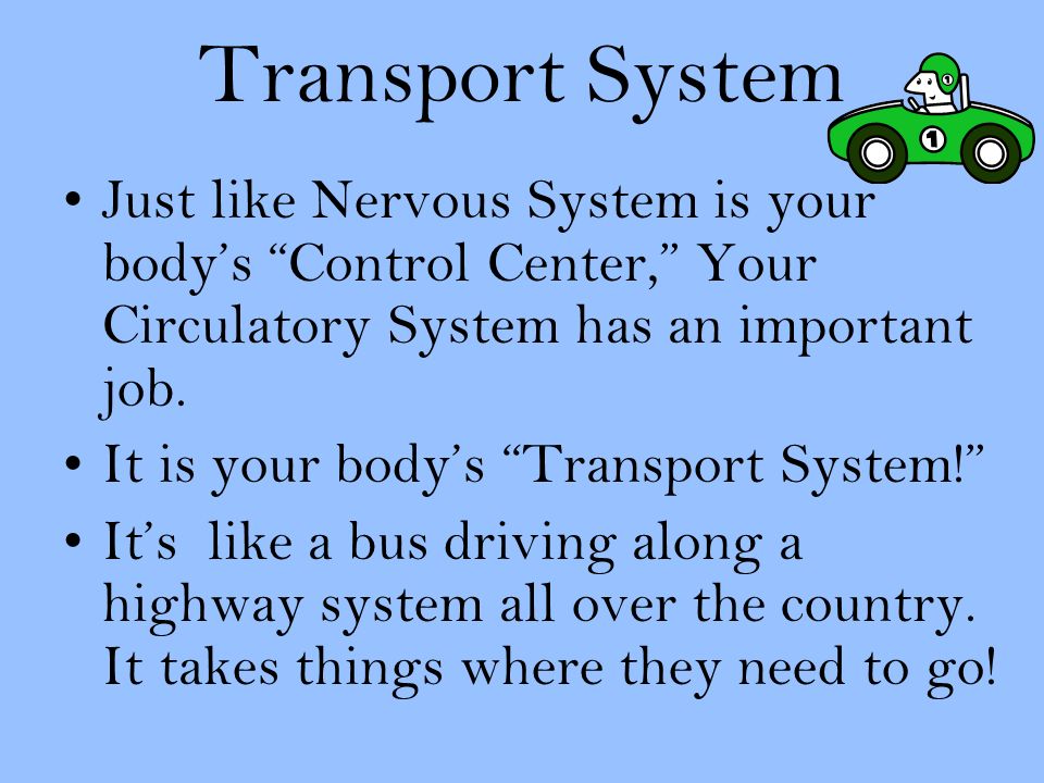 Transport System Just like Nervous System is your body’s Control Center, Your Circulatory System has an important job.