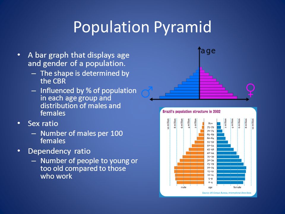 Population Pyramid A bar graph that displays age and gender of a population.