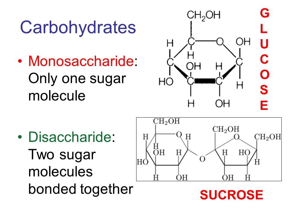 lab 1 carbohydrates Biology 13a lab manual 5lab #13 nutrition and digestion 104 testing your comprehension: answer the following questions based on your reading 1 define monosaccharide, disaccharide, and polysaccharide, and give. lab 1 carbohydrates Biology 13a lab manual 5lab #13 nutrition and digestion 104 testing your comprehension: answer the following questions based on your reading 1 define monosaccharide, disaccharide, and polysaccharide, and give.