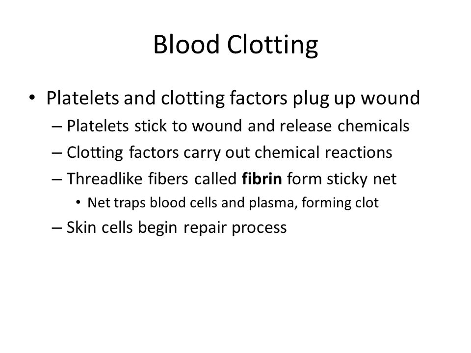 Blood Clotting Platelets and clotting factors plug up wound – Platelets stick to wound and release chemicals – Clotting factors carry out chemical reactions – Threadlike fibers called fibrin form sticky net Net traps blood cells and plasma, forming clot – Skin cells begin repair process