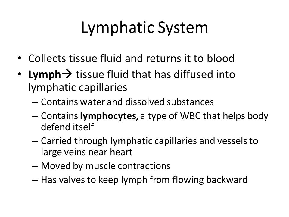 Lymphatic System Collects tissue fluid and returns it to blood Lymph  tissue fluid that has diffused into lymphatic capillaries – Contains water and dissolved substances – Contains lymphocytes, a type of WBC that helps body defend itself – Carried through lymphatic capillaries and vessels to large veins near heart – Moved by muscle contractions – Has valves to keep lymph from flowing backward