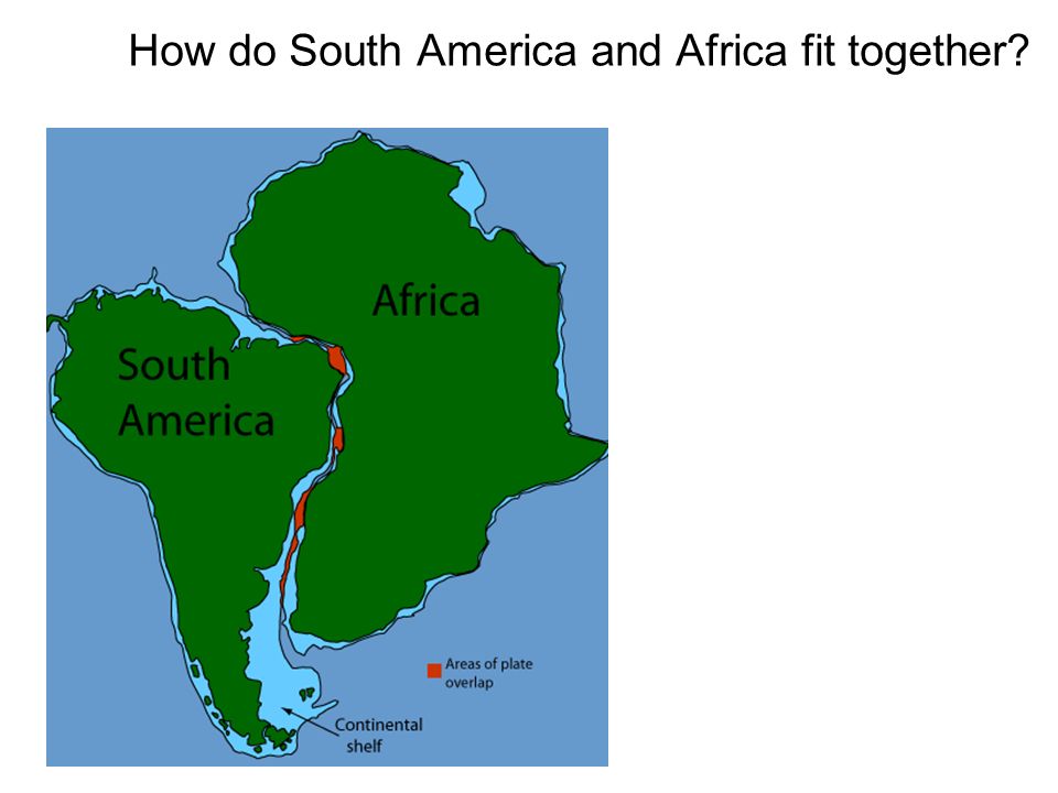 How do South America and Africa fit together. (Evidence #1) S.