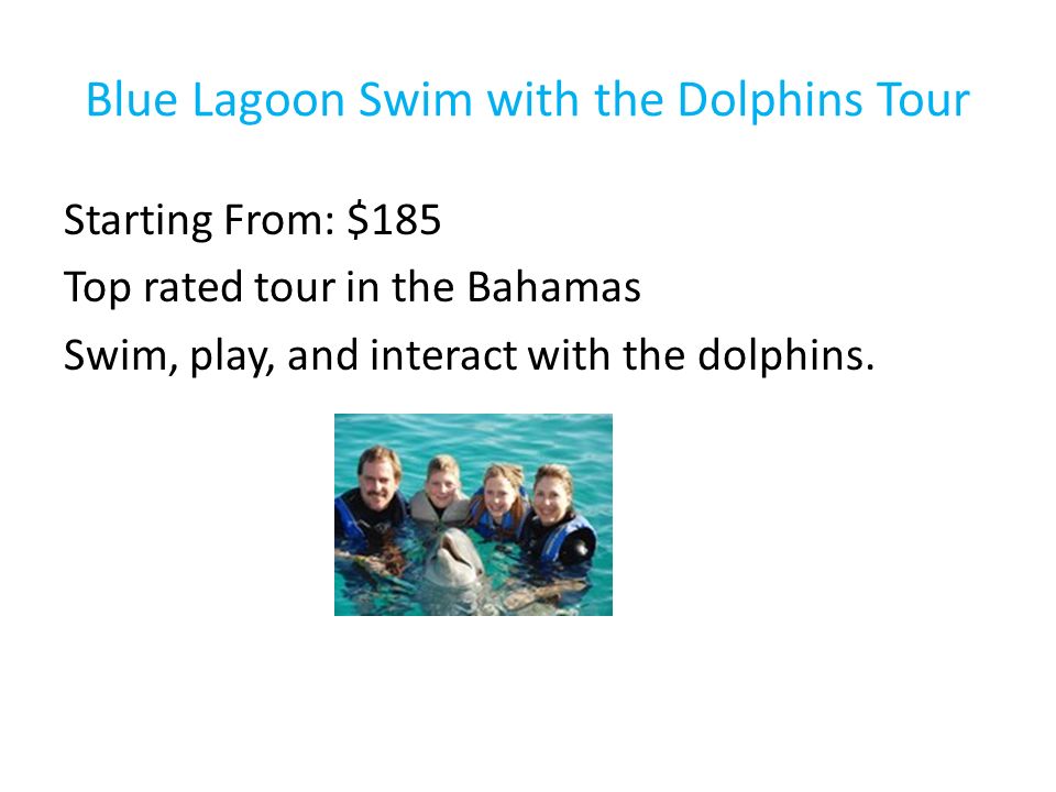 Blue Lagoon Swim with the Dolphins Tour Starting From: $185 Top rated tour in the Bahamas Swim, play, and interact with the dolphins.