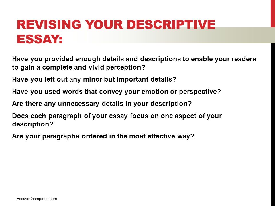 focused description essays focused description essays