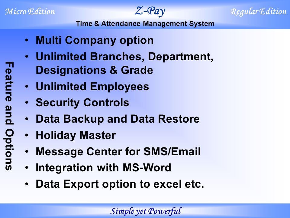 attendance point system excel