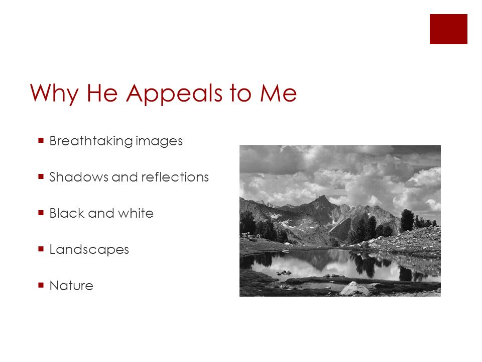 Why He Appeals to Me  Breathtaking images  Shadows and reflections  Black and white  Landscapes  Nature