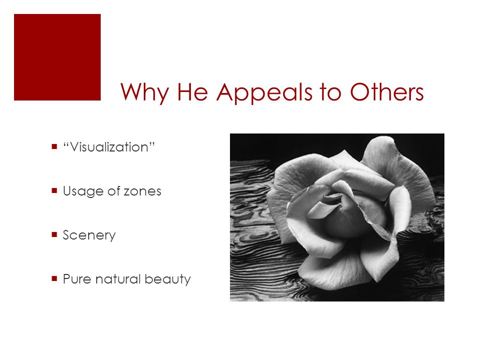 Why He Appeals to Others  Visualization  Usage of zones  Scenery  Pure natural beauty